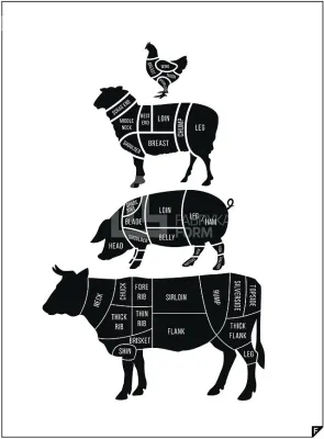 Панно Follygraph Meat Cuts ed. spring 2016, бумага, 100×70 см