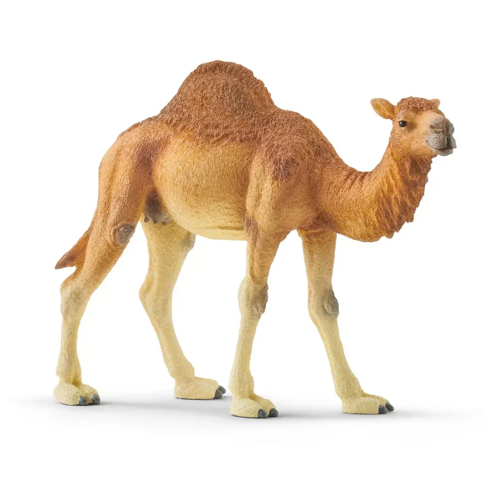 Schleich - Верблюд Дромадер 14832