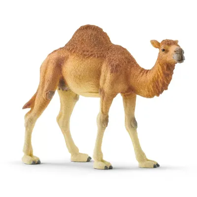 Schleich - Верблюд Дромадер 14832