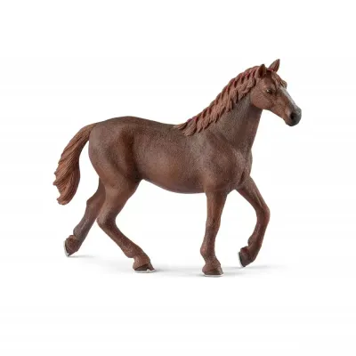Schleich - Раса Полная Кровь Английская - Кобыла 13855