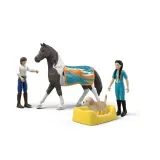 Schleich Horse Club — набор для вольтижировки Ким и лошадь породы тинкер 42799 — фото 5