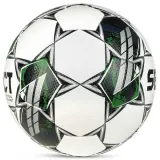 Мяч футзальный Select Futsal Planet FIFA Basic — фото 3