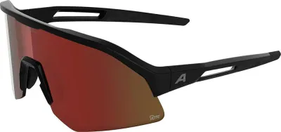 Очки солнцезащитные Alpina Sonic HR M Q-Lite
