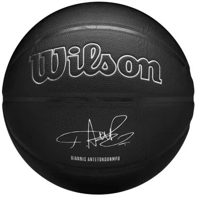 Мяч баскетбольный Wilson NBA Player Evergreen Giannis, размер 7