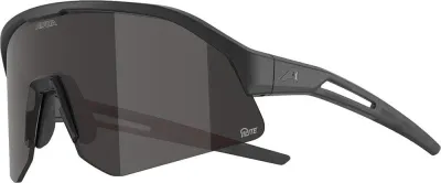 Солнцезащитные очки Alpina Sonic HR M Q-lite, Чёрный