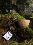 Туристическая кружка Kupilka 37 Moomin Snufkin 0,37 л коричневая — фото 6