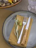 Набор из 4 столовых ножей Opinel olive — фото 5