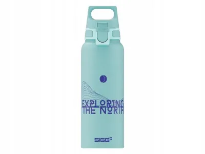 Фляга-бутылка SIGG WMB One Pathfinder, 1 л