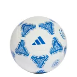 Мяч футбольный Adidas Argentina AFA Argentum Gambeta — фото 1