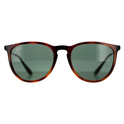Солнцезащитные очки Ray-Ban Erika Classic коричневые