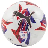 Мяч футбольный Puma Orbita 3 Sky Bet EFL 2024/25 — фото 1