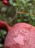 Кружка туристическая Kupilka 12 Moomin Little My 0,12 л красная — фото 4