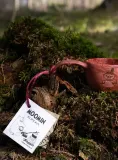 Кружка туристическая Kupilka 12 Moomin Little My 0,12 л красная — фото 5