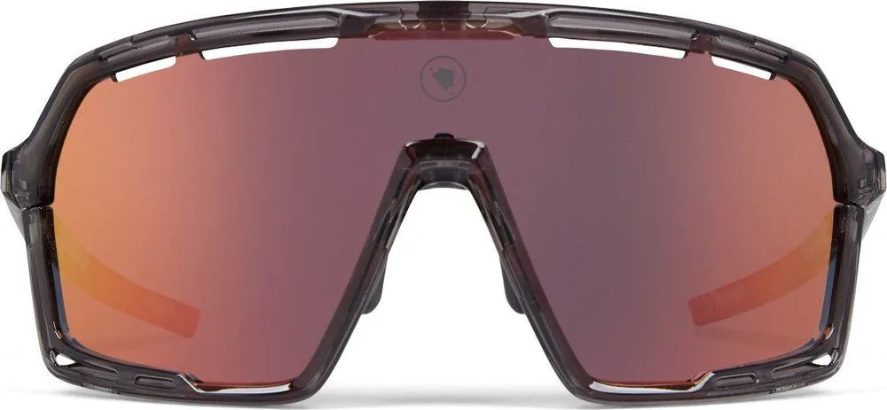 Солнцезащитные очки Endura Pro SL