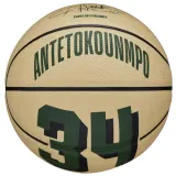 Мини-мяч баскетбольный детский Wilson NBA Player Icon Giannis — фото 1