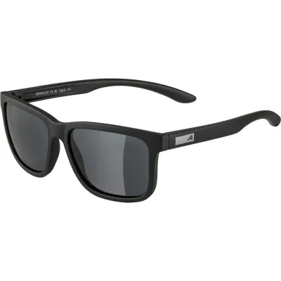 Солнцезащитные очки Alpina Burst, арт. b7cec3a2