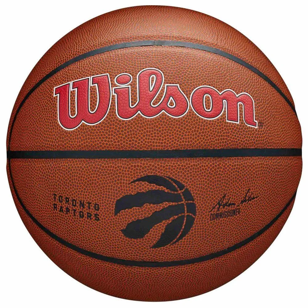 Мяч баскетбольный Wilson Team Alliance Toronto Raptors, размер 7