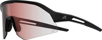 Солнцезащитные очки Alpina Sonic HR M QV спортивные