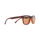 Солнцезащитные очки Red Bull Spect Eyewear, Коричневый — фото 1