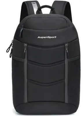 Рюкзак Aspensport 22 л