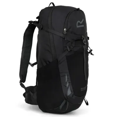 Туристический рюкзак Regatta Blackfell 4 25 л