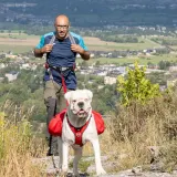 Пояс для прогулок и походов с собакой I-Dog Ventoux UPKA — фото 7