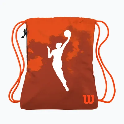 Мешок Wilson WNBA Fire Basketball
