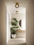 Nordlux Светильник потолочный Orbiform со стеклянным плафоном — фото 7