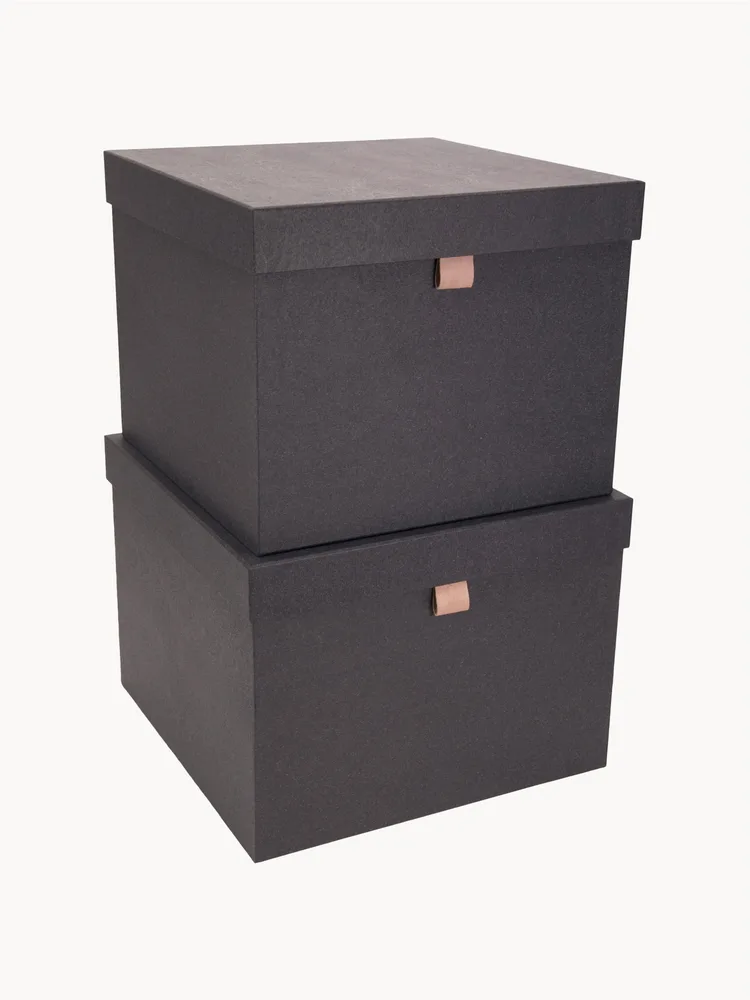 Bigso Box of Sweden Набор коробок для хранения Tristan, 2 предмета, арт. G10110
