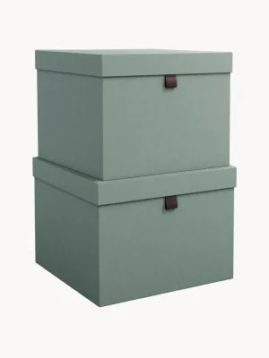 Bigso Box of Sweden Набор коробок для хранения Tristan, 2 предмета, арт. G10518