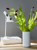 Lyngby Porcelaen Ваза Lyngby из фарфора высотой 21 см — фото 4