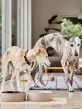 OYOY Zoo Коврик под миску для животных Koko силиконовый нескользящий, 44 x 64 см, бежевый с крапинами — фото 2