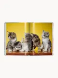 TASCHEN Книга Cats. Photographs 1942–2018, фотоальбом Уолтера Чандохи, твёрдый переплёт, 192 страницы, 14х20 см — фото 4