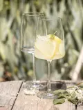 Zwiesel Glas Набор бокалов для вина Vivid Senses, 2 шт, 710 мл, Ø 11 × В 23 см, 710 мл, Прозрачный — фото 6