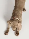 Buddys Dogwear Ошейник для собак Baseball ручной работы из кожи и хлопка, ширина 2 см, три размера до 48 см, светло-серый с коричневым — фото 6
