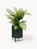 Ferm Living Кашпо на подставке Bau, 38 см, Ø 28 × В 38 см, Тёмный зелёный — фото 2