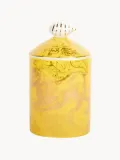 Ароматическая свеча Maison La Bougie Leo — фото 3