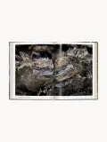 TASCHEN Книга-альбом Steve McCurry. Animals с фотографиями животных со всего мира, 192 страницы, 14 х 20 см — фото 6