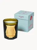 Ароматическая свеча Trudon Spiritus Sancti — фото 2
