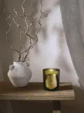 Ароматическая свеча Trudon Spiritus Sancti — фото 4