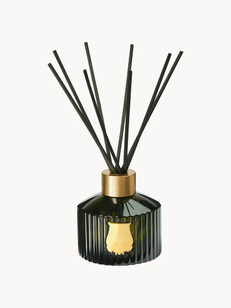 Аромадиффузор Trudon Ernesto, 350 мл