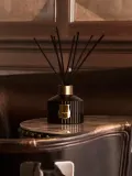 Аромадиффузор Trudon Ernesto, 350 мл — фото 7