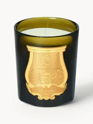 Ароматическая свеча Trudon Ernesto