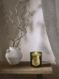 Ароматическая свеча Trudon Cyrnos — фото 4