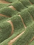 Westwing Collection Подушка декоративная Mareva XL — фото 6