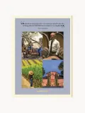 Assouline Книга-альбом Wine & Travel USA о винодельческих регионах Америки, английский язык, 312 страниц — фото 5