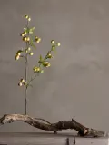 Bloomingville Искусственный цветок Hawthorn декоративный — фото 4