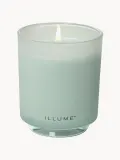 Ароматическая свеча ILLUME Refill жасмин и морской бриз — фото 2
