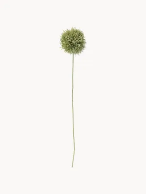 Bloomingville Искусственный цветок Allium декоративный, Ш 13 × Д 63 см, Зелёный