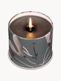 Ароматическая свеча ILLUME Vanity Tin кедр, замша и янтарь — фото 3